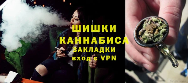 спайс Богданович