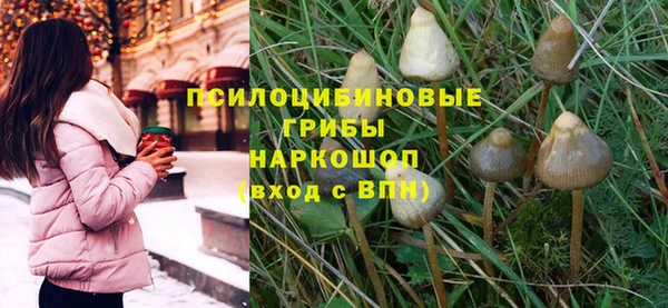 2c-b Богородицк