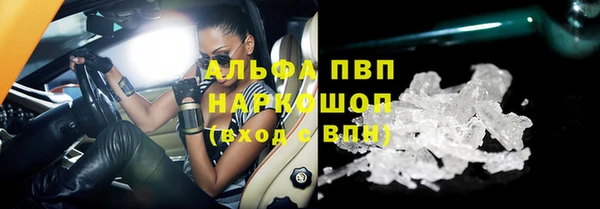 spice Гусев