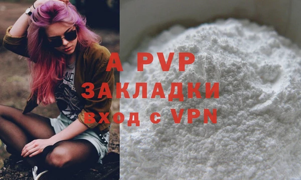 спайс Богданович