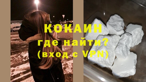 спайс Богданович