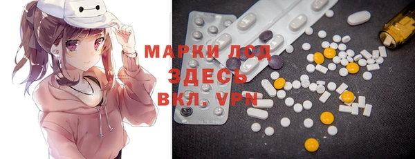 спайс Богданович